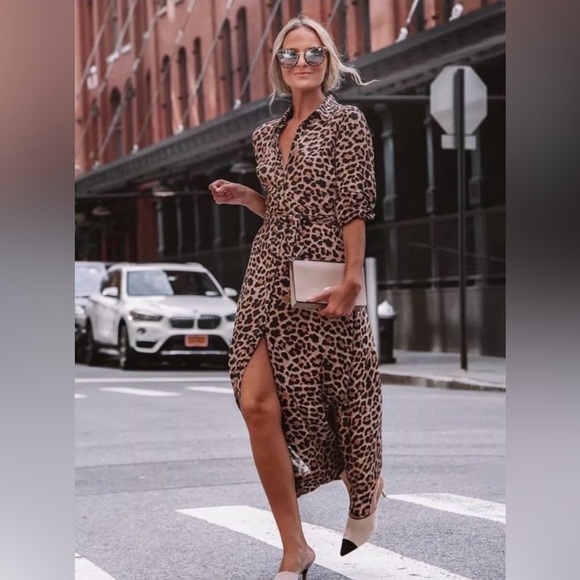 Zara Leopard Print Cheetah Maxi Dress size M - Picture 2 of 8